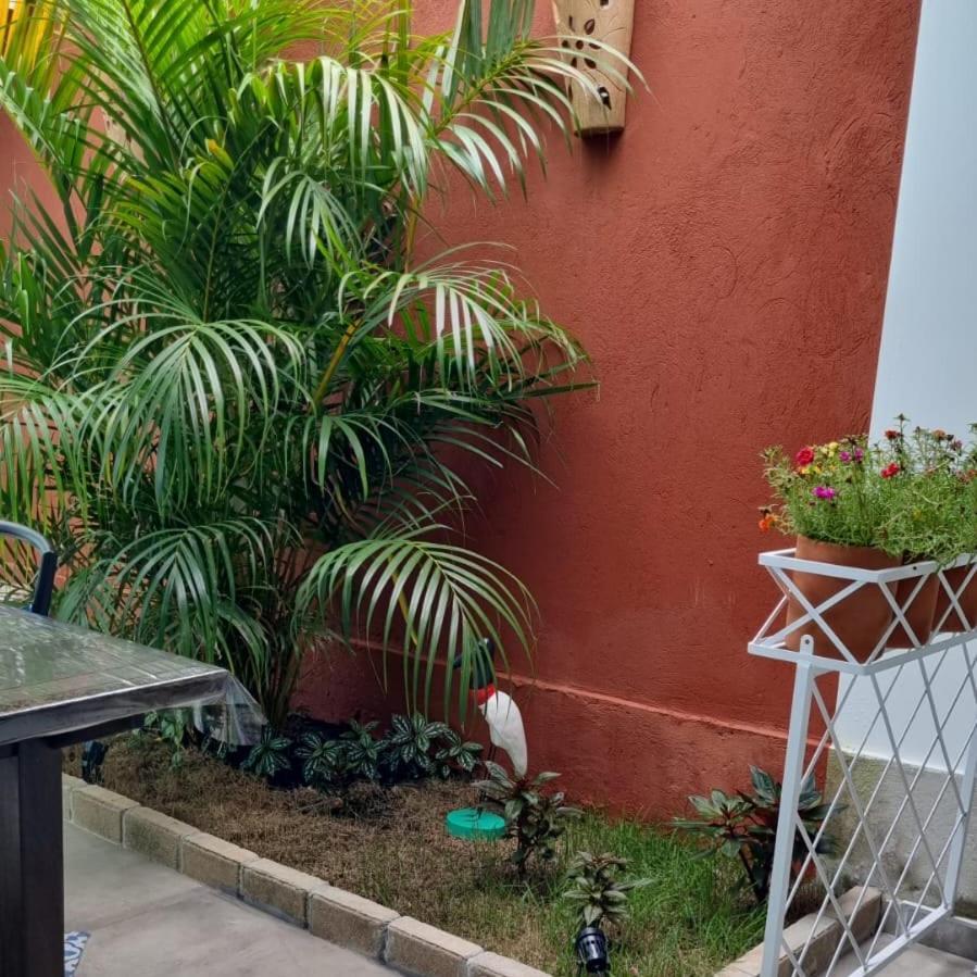 Perola De Bombinhas Hotell Exteriör bild